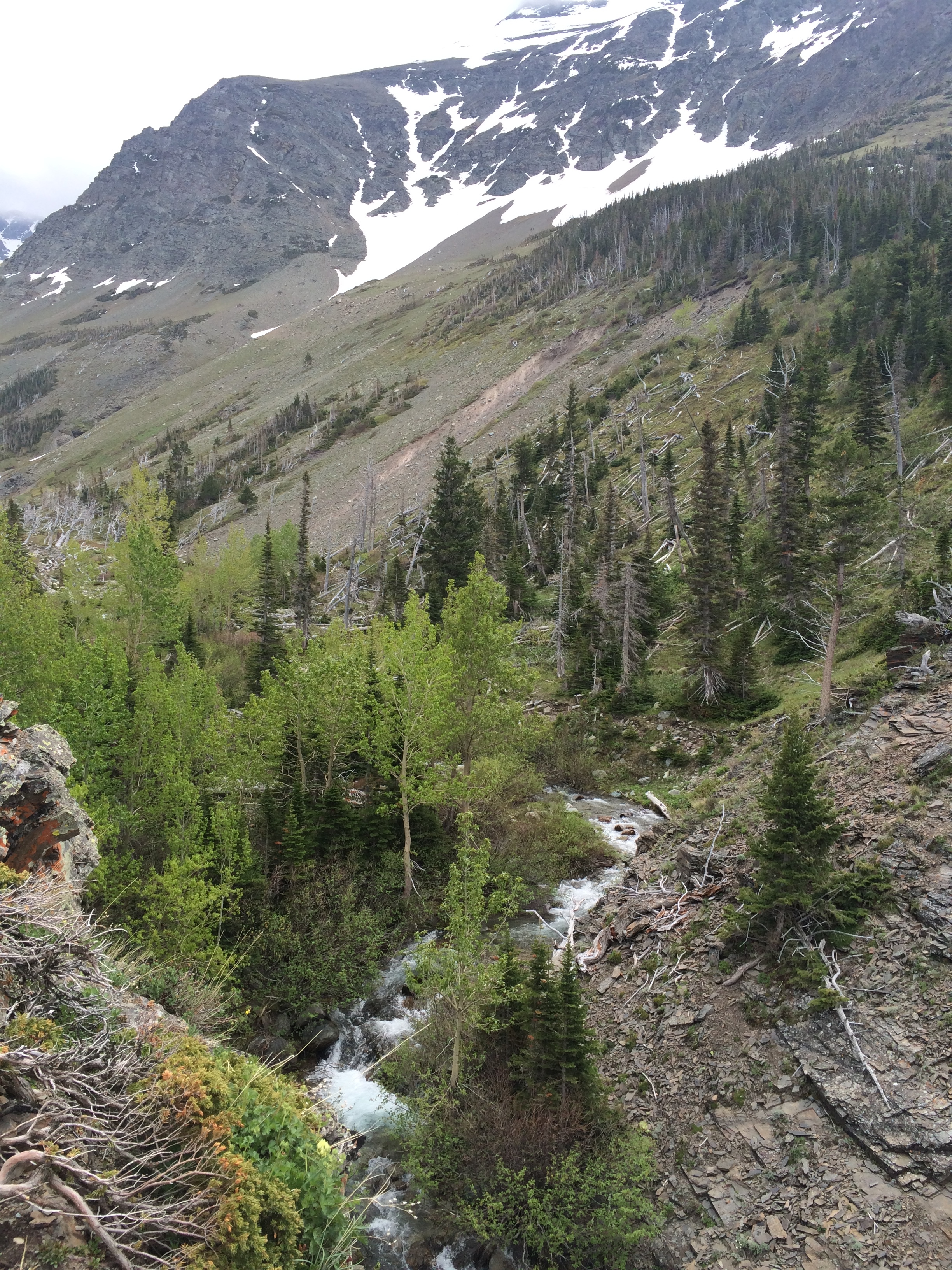 Hike to Scenic Point in Glacier National Park