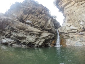 Santa Paula Punch Bowls