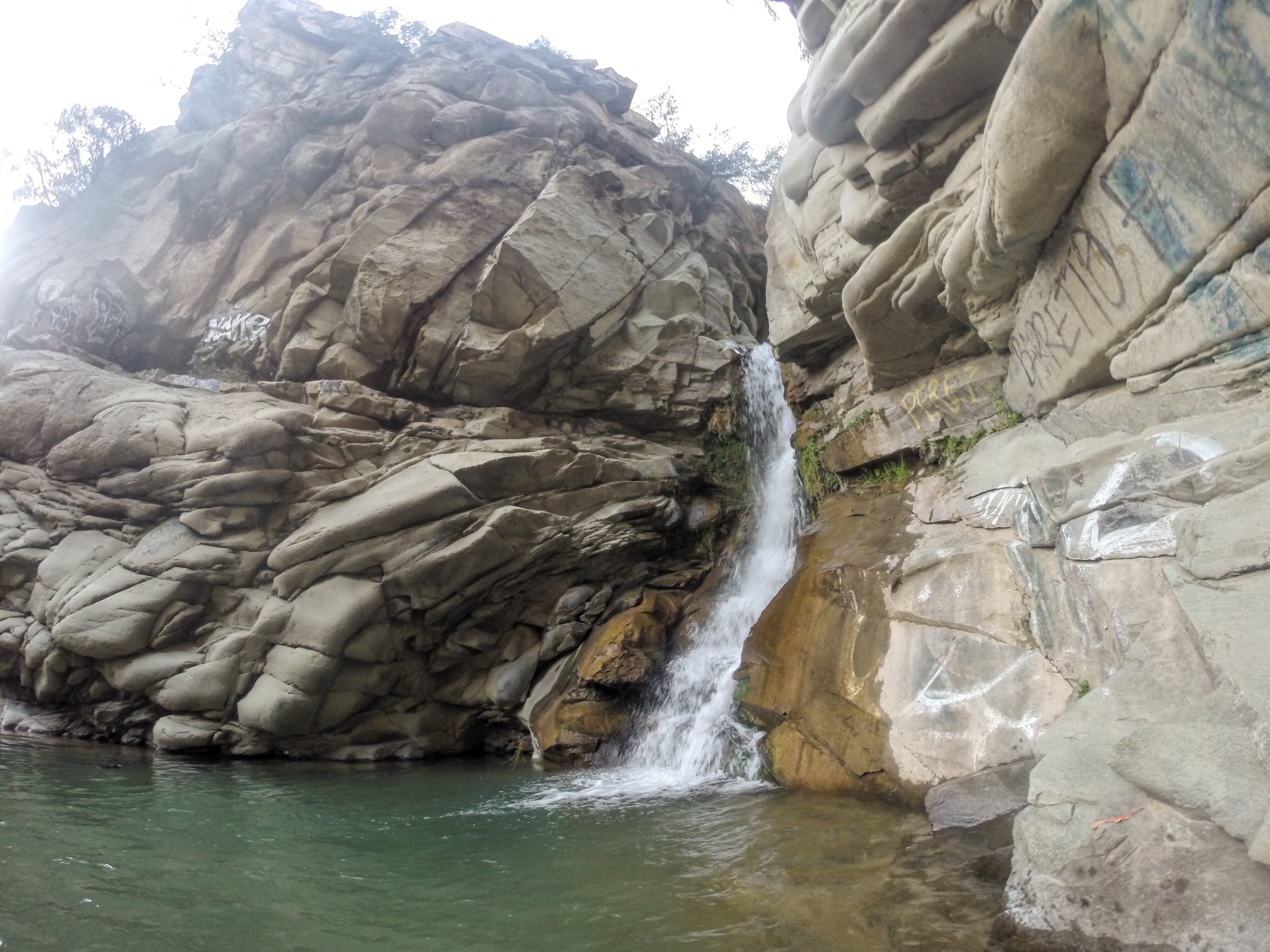 Santa Paula Punch Bowls