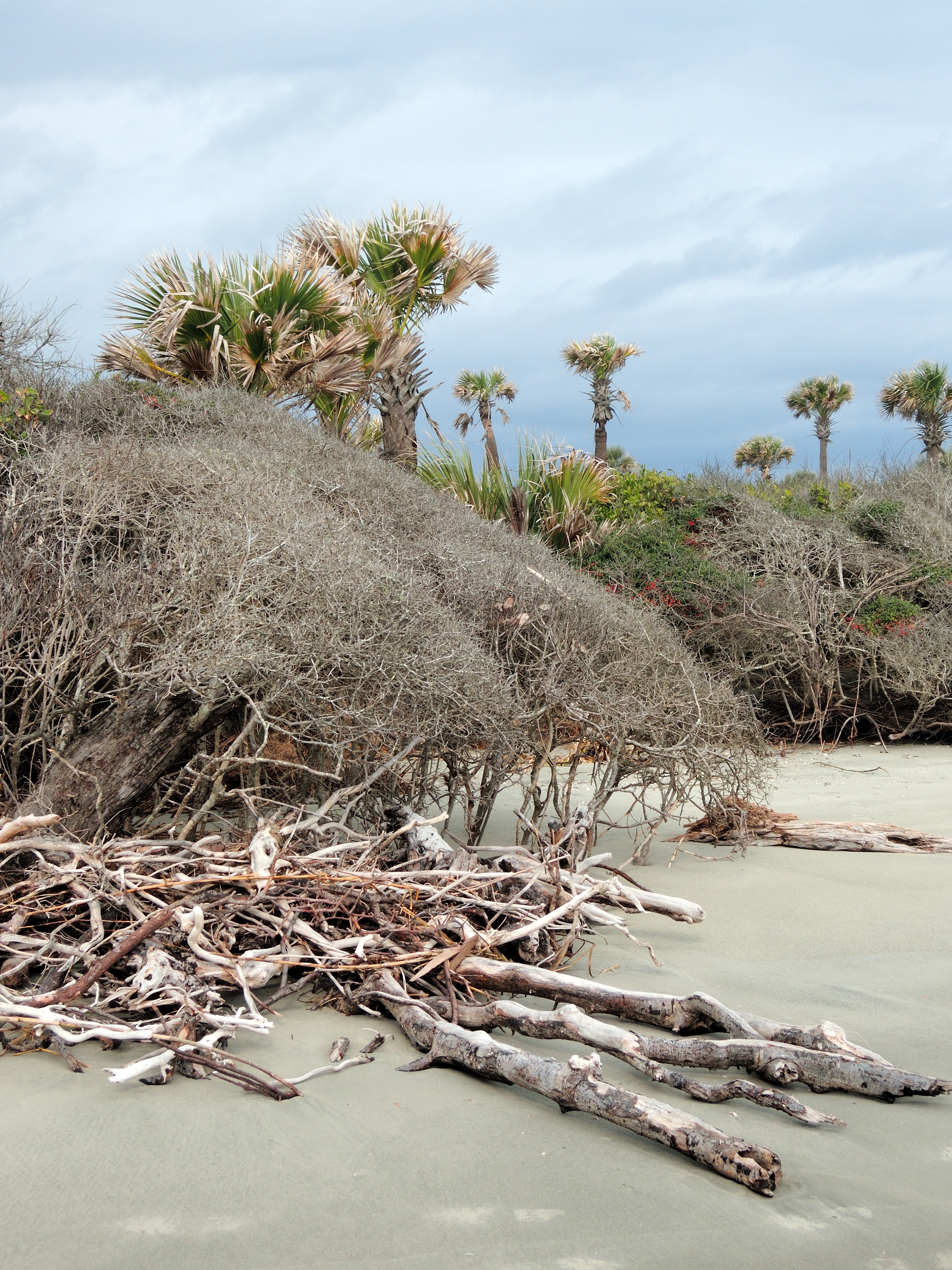 photo-of-explore-bull-island