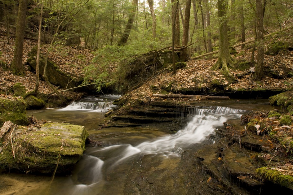 Hike to the Sipsey Wilderness Waterfalls, Sipsey Wilderness