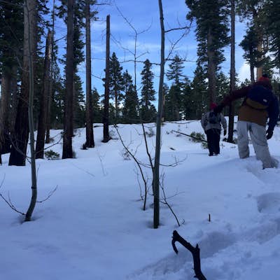 Snowshoe in South Lake Tahoe