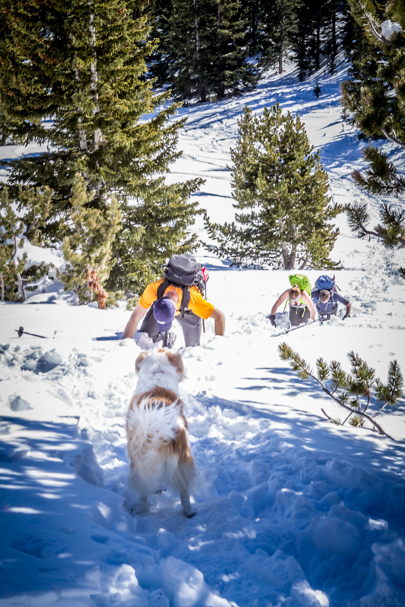 Hike Meadow Mountain 