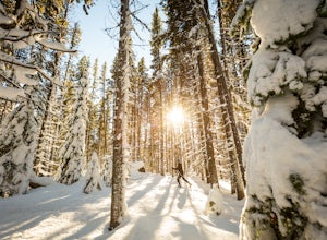 7 Amazing Winter Adventures In Jasper National Park 