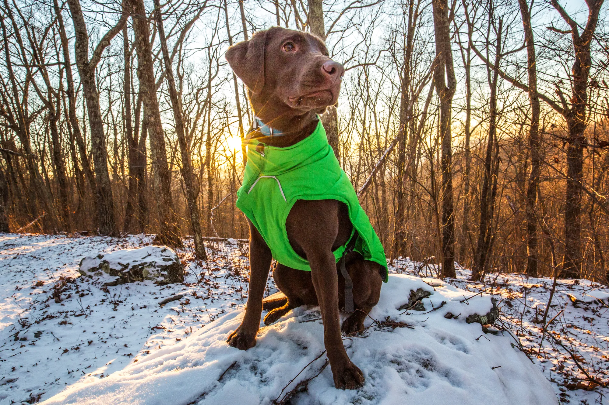 Explore Skyline Drive In Winter