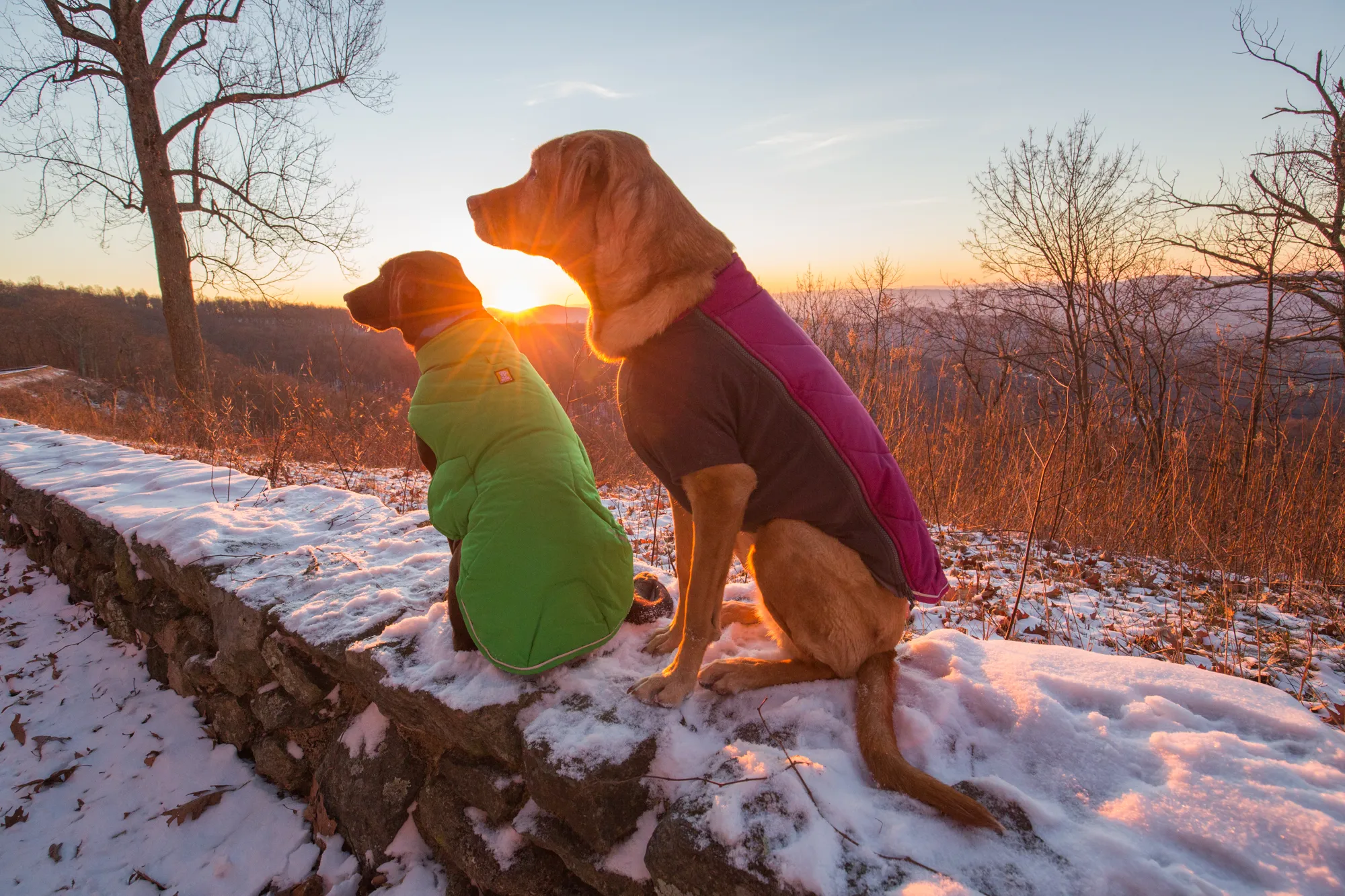 Explore Skyline Drive In Winter