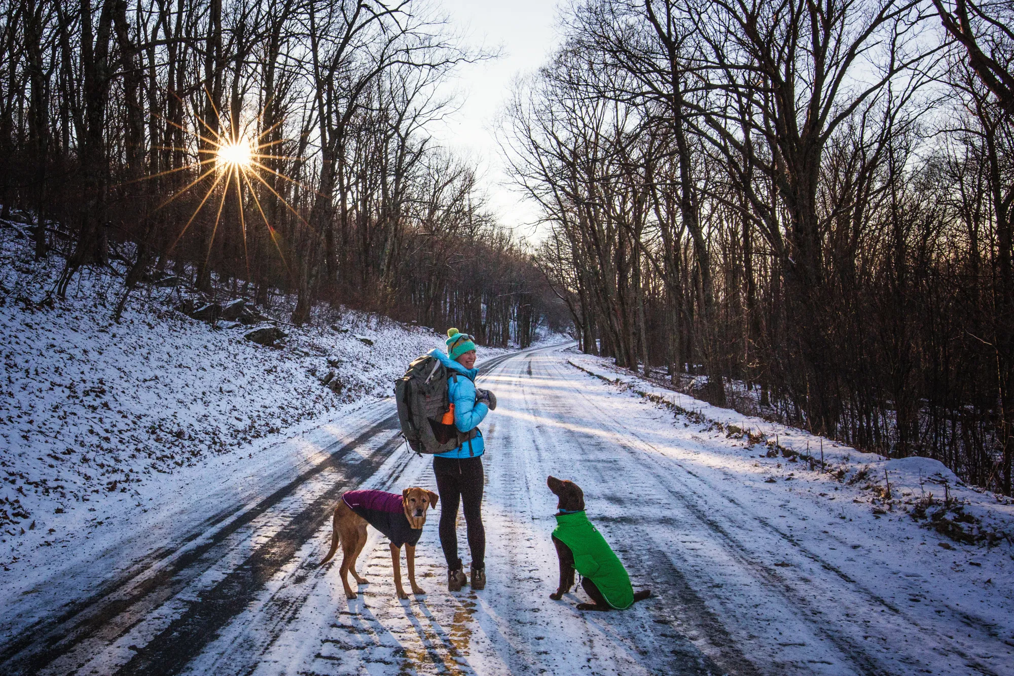 Explore Skyline Drive In Winter