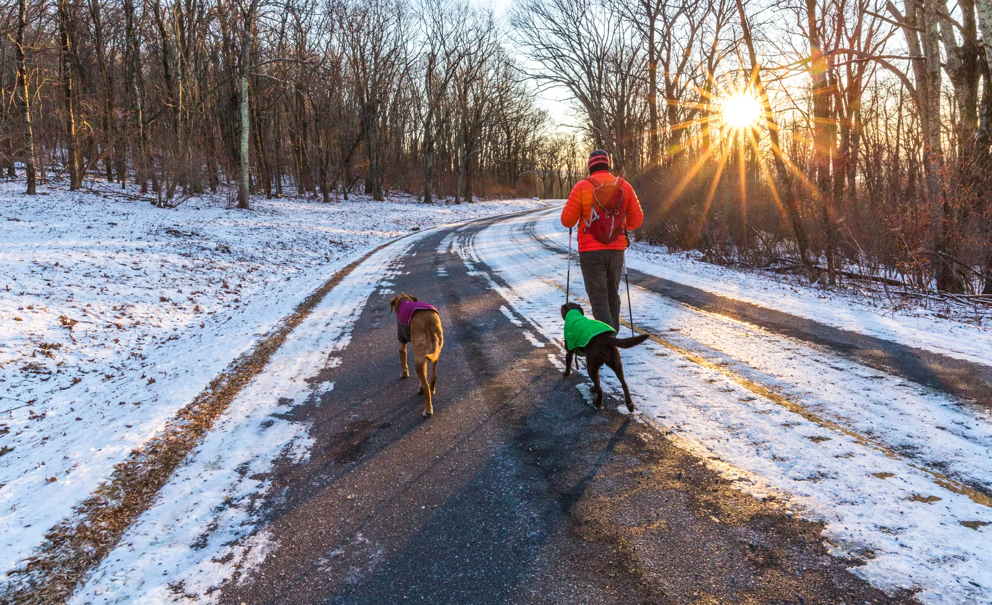 Explore Skyline Drive In Winter