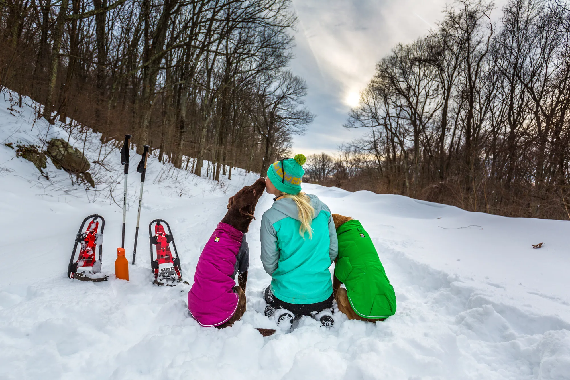 Explore Skyline Drive In Winter