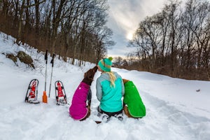Explore Skyline Drive In Winter