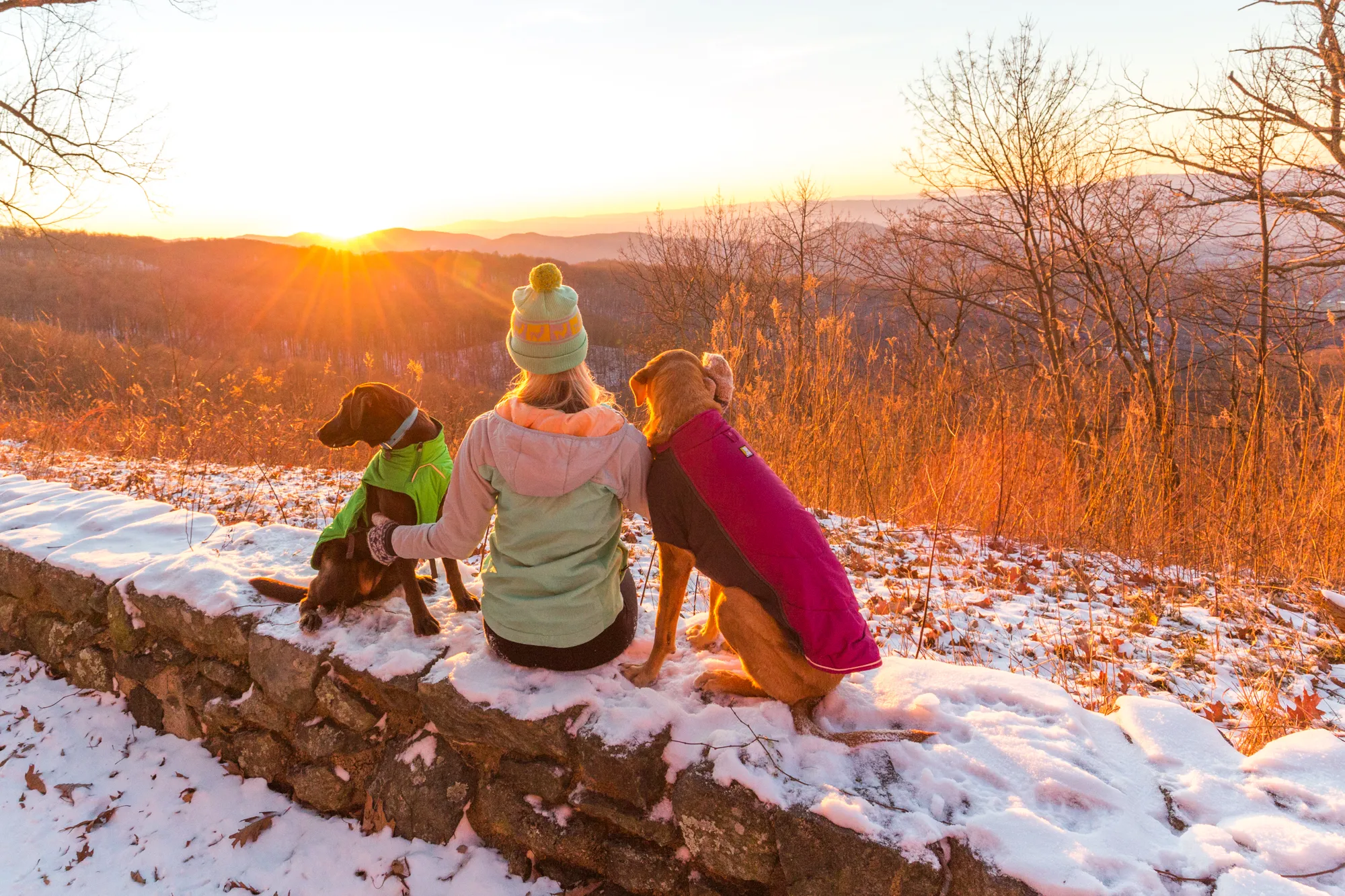 Explore Skyline Drive In Winter