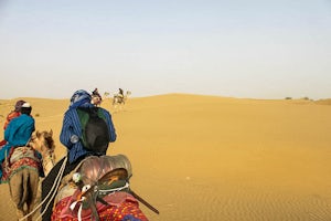 Camel Trek through the Thar Desert 