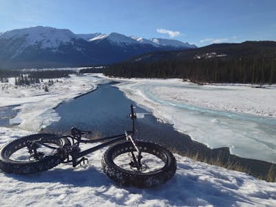 Fat Bike along the Athabasca River