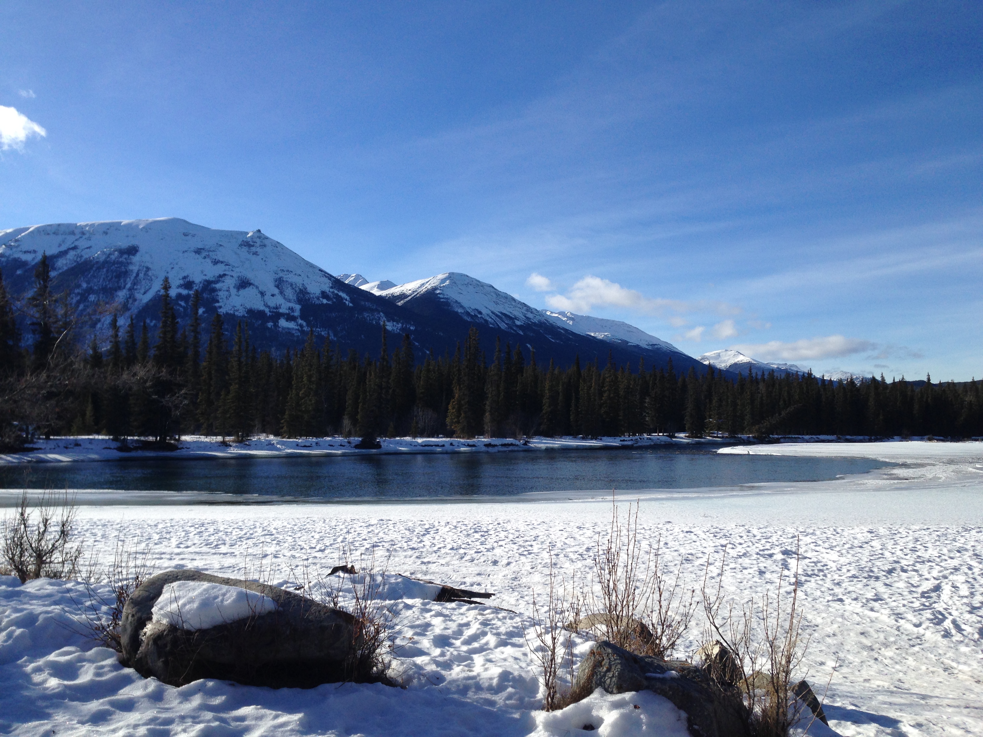 Fat Bike along the Athabasca River