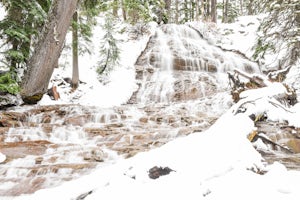 Snowshoe to Umbrella Falls