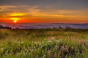 Mary's Peak