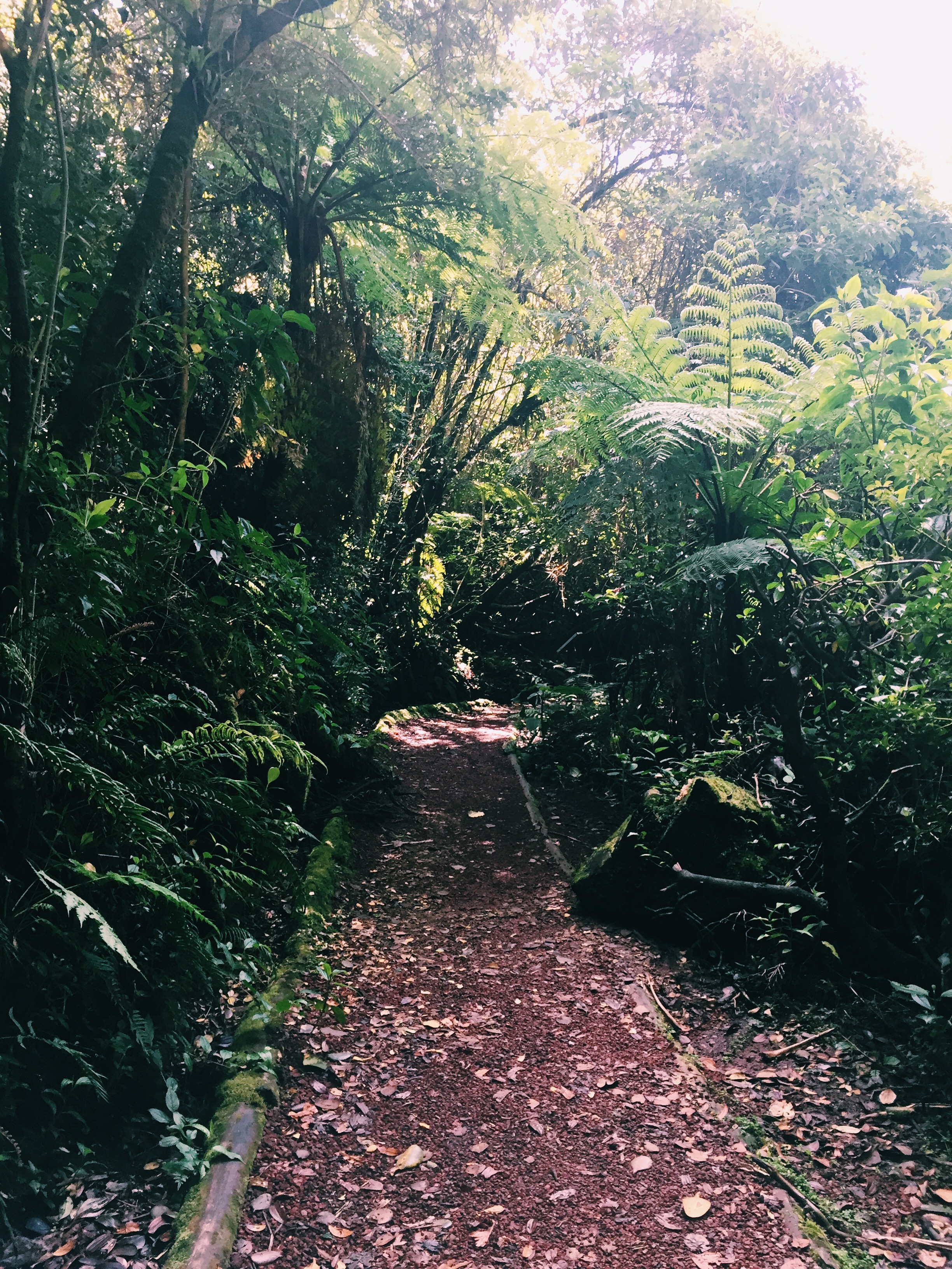 Hike Around Poás Volcano