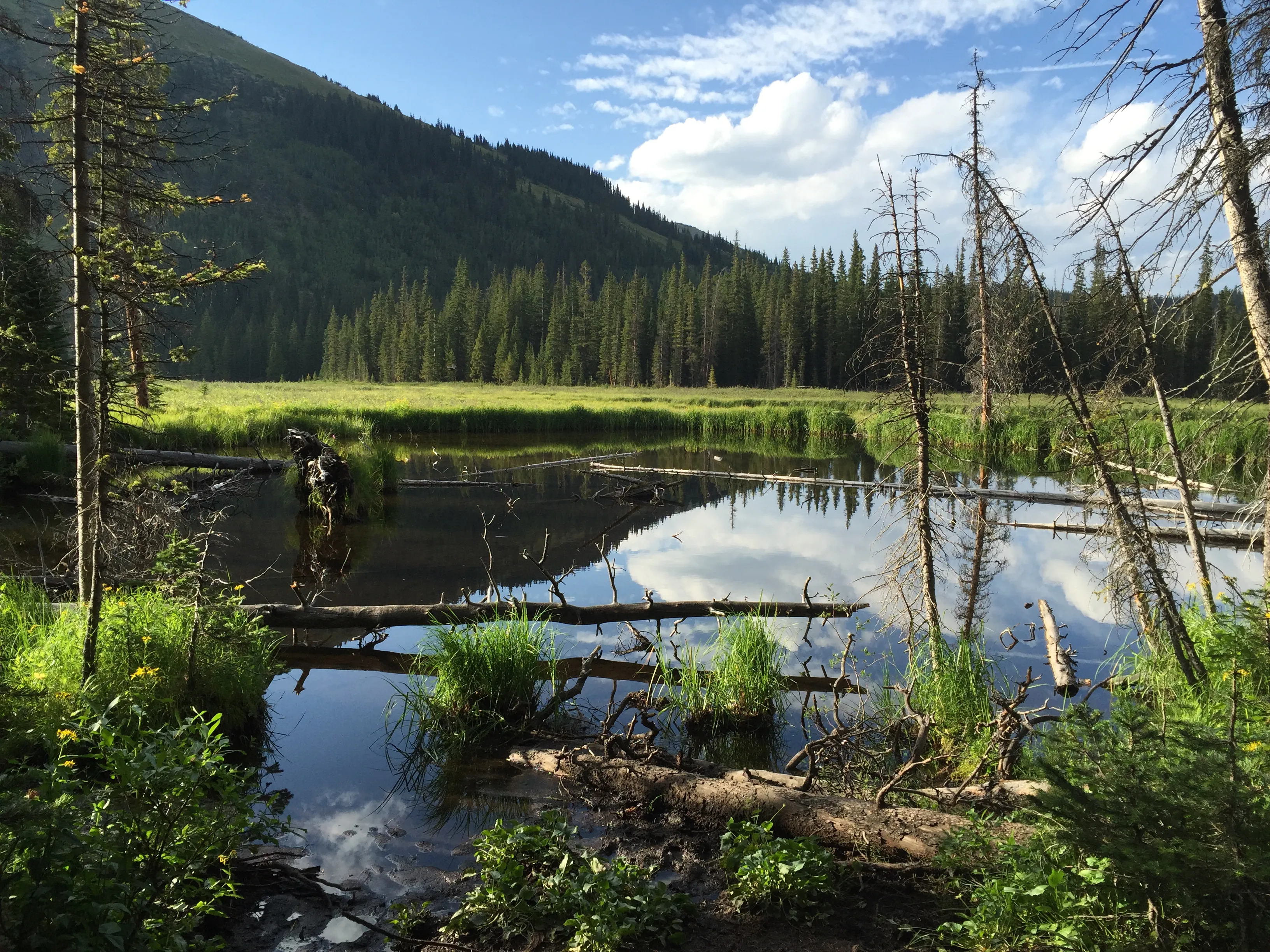 Lower & Upper Mohawk Lakes