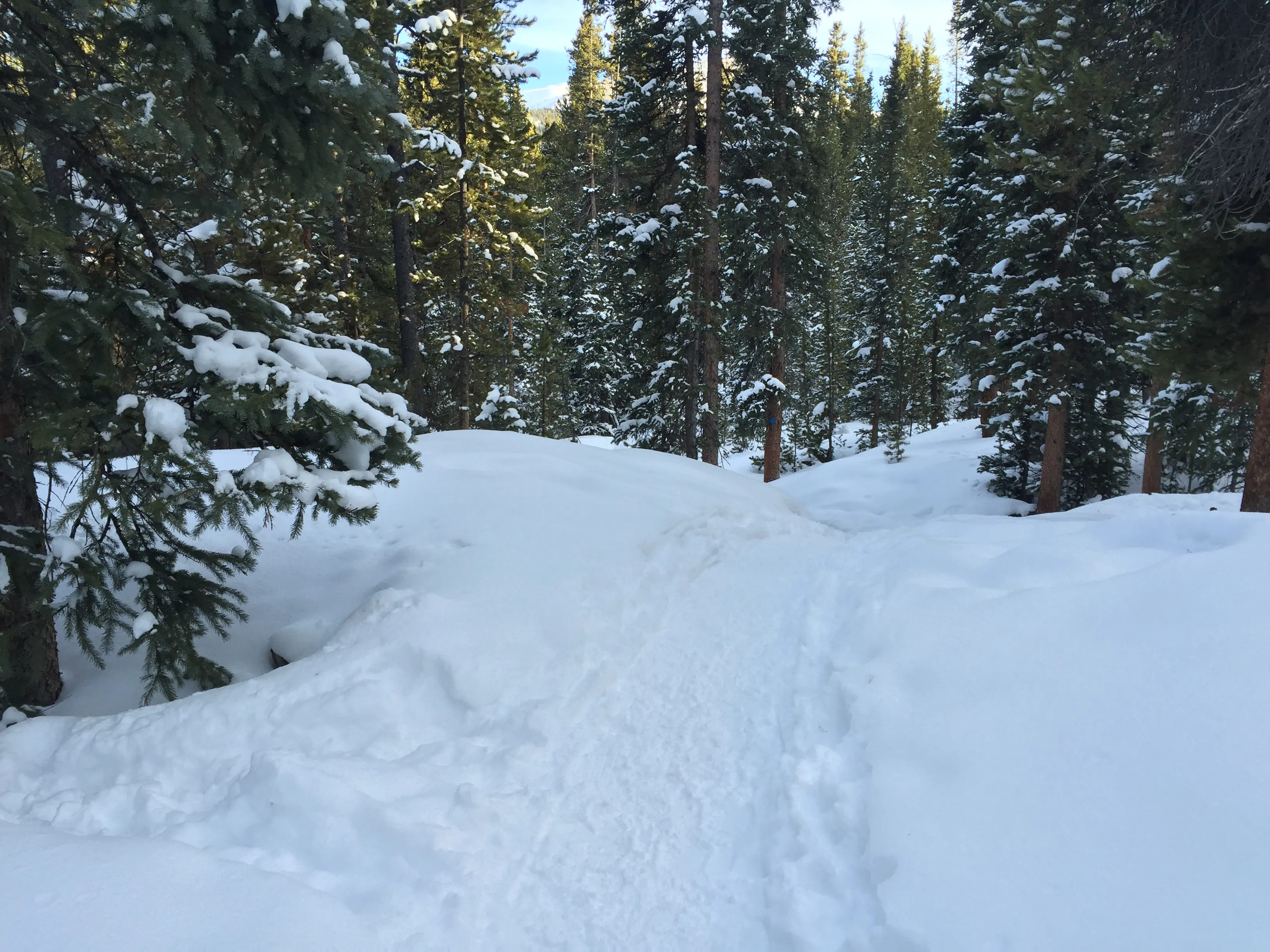Lower & Upper Mohawk Lakes