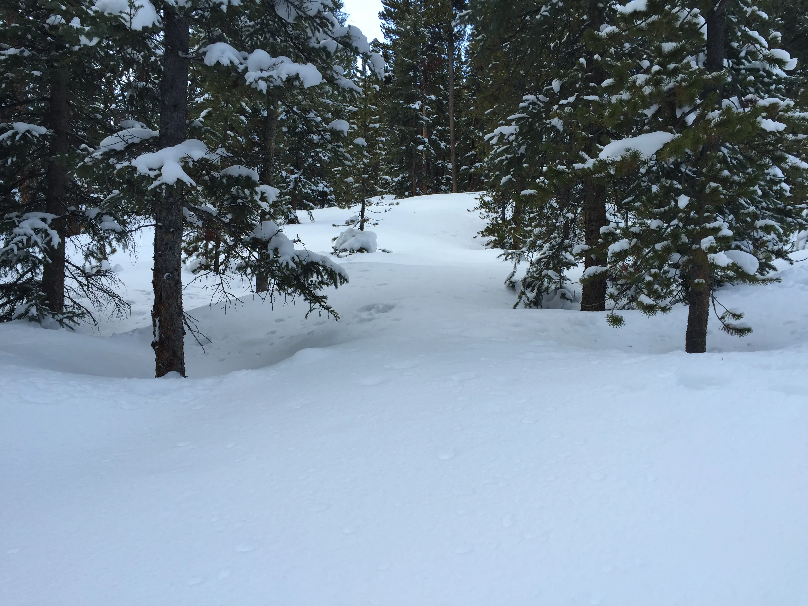 Lower & Upper Mohawk Lakes