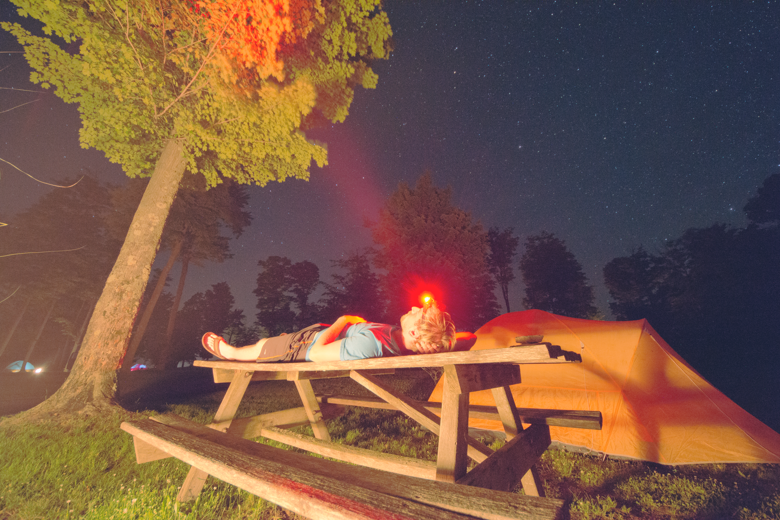 Gaze Into the Milky Way with Cherry Springs' Dark Skies