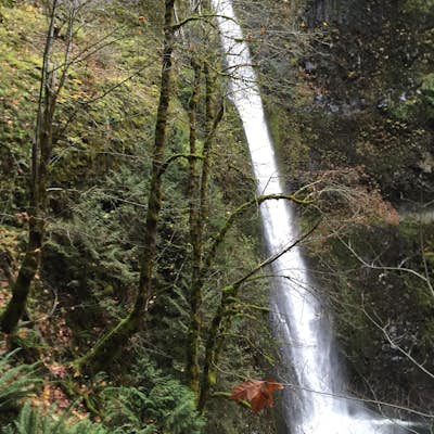 The Columbia River Gorge to Tunnel Falls
