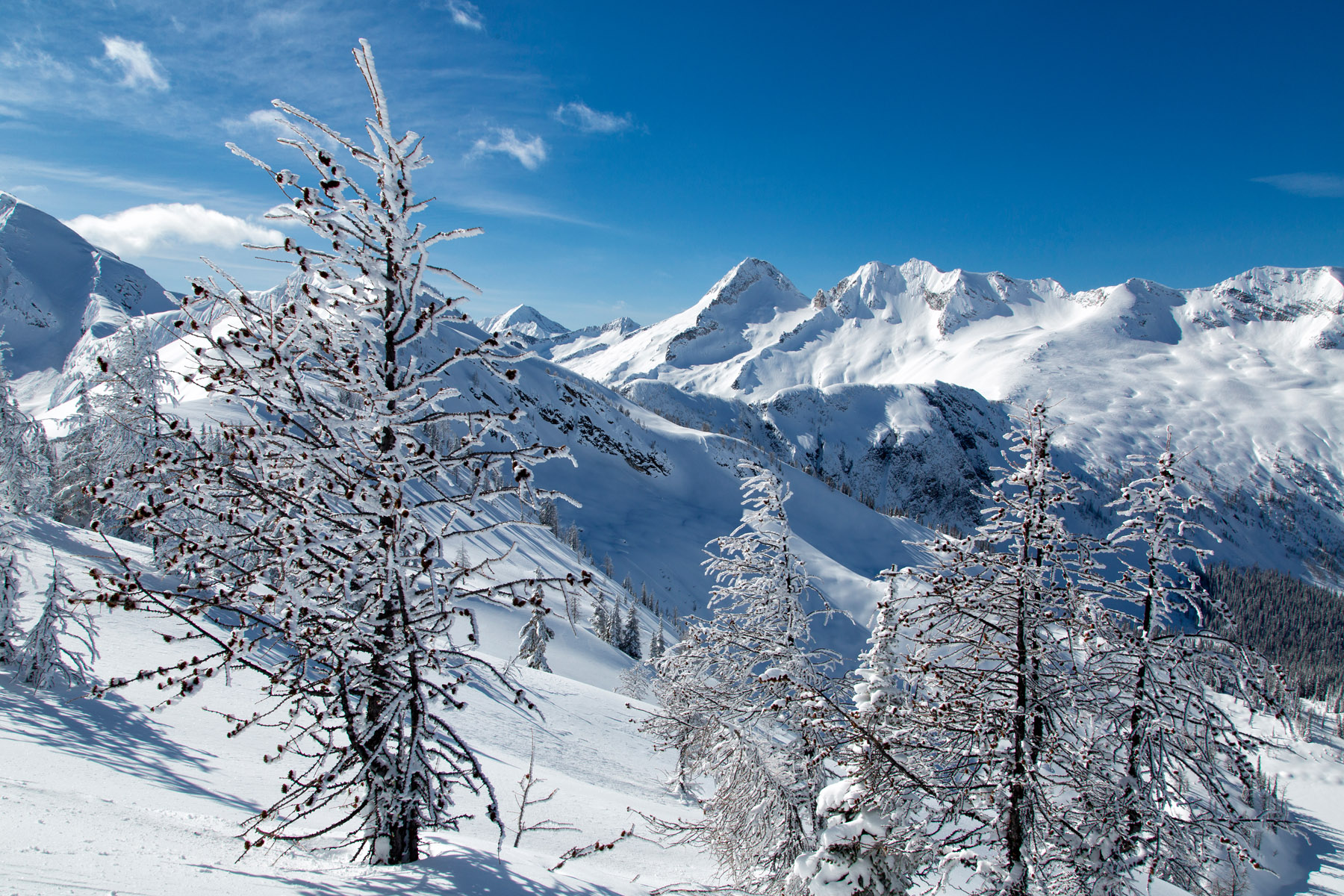Backcountry Ski at Powder Creek Lodge