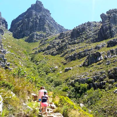 Hike Table Mountain via Platteklip Gorge Trail