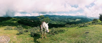 Ride on Horseback through the Mountains of Monteverde