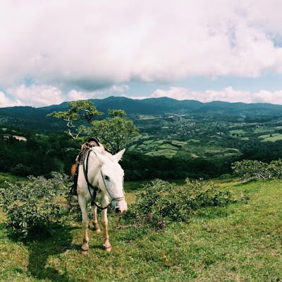 Ride on Horseback through the Mountains of Monteverde