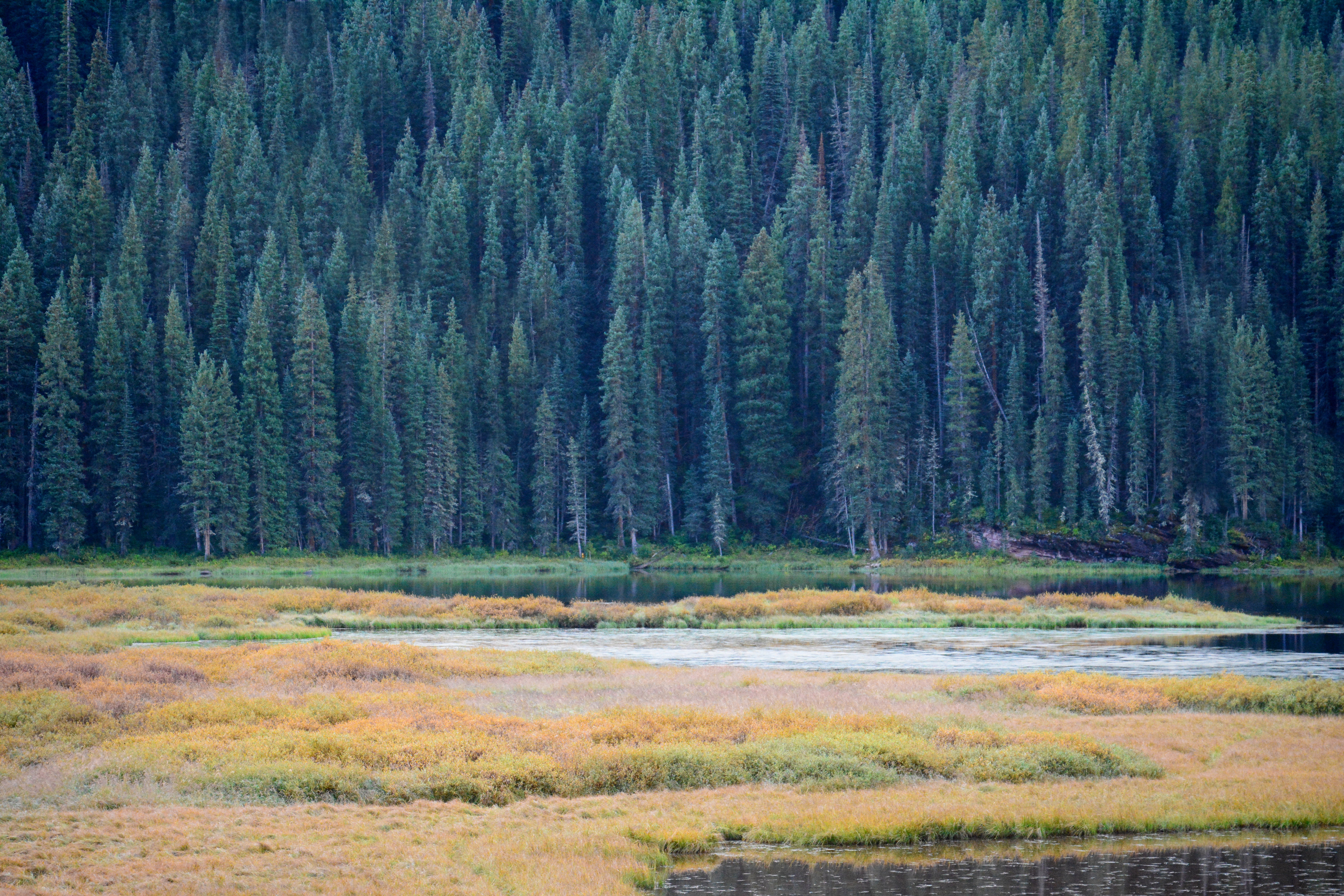 Hike the Upper Piney River Trail