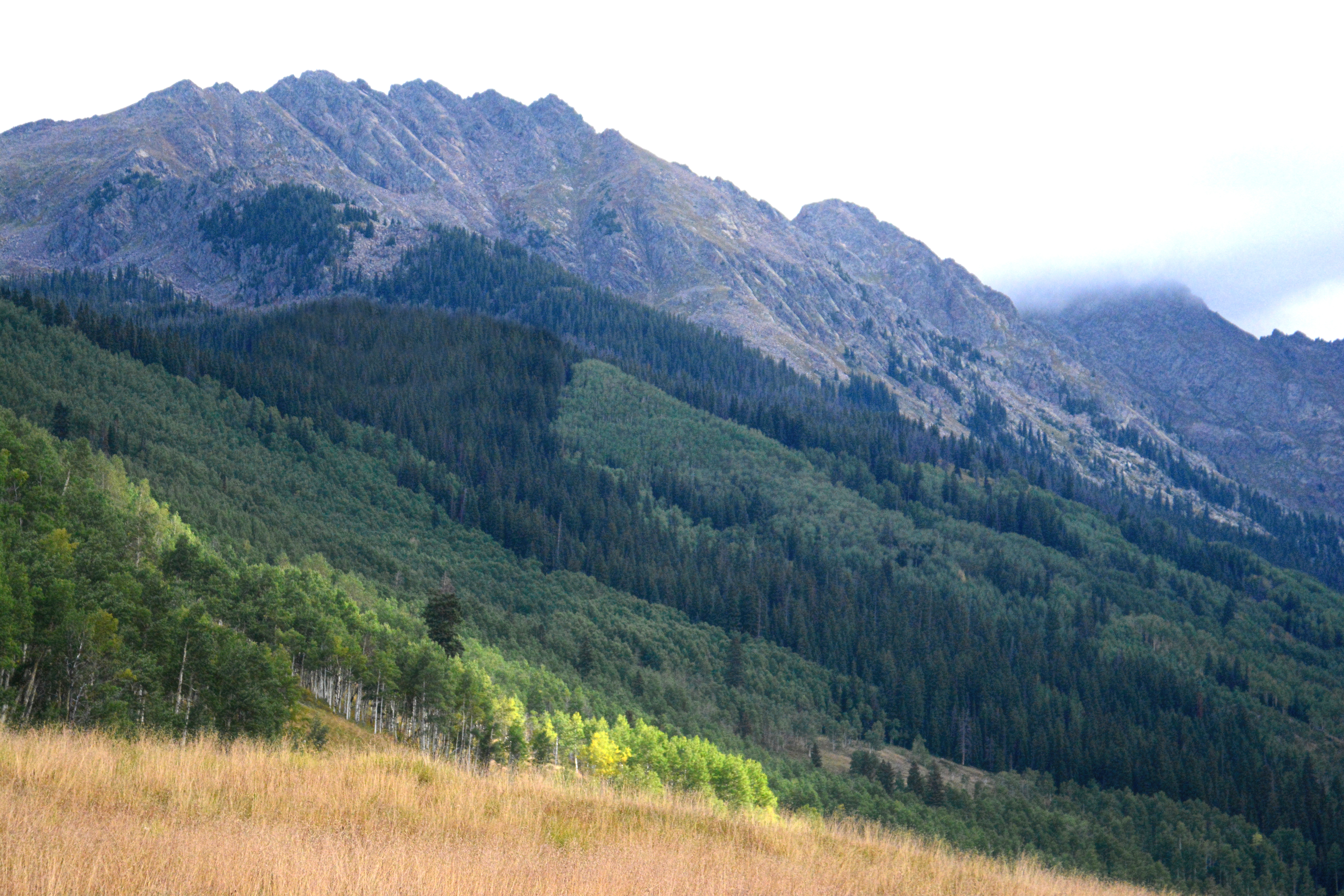 Hike the Upper Piney River Trail