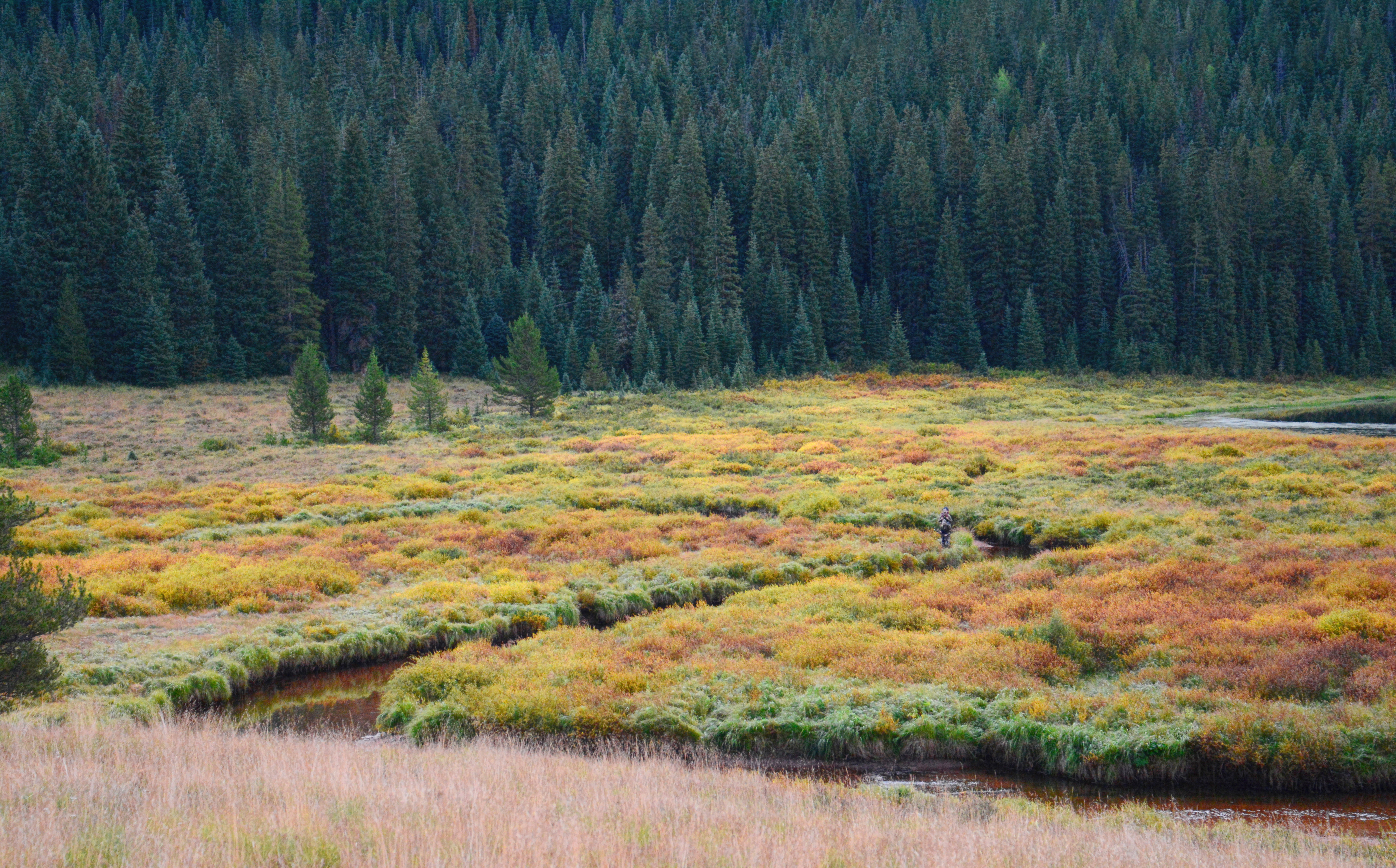 Hike the Upper Piney River Trail