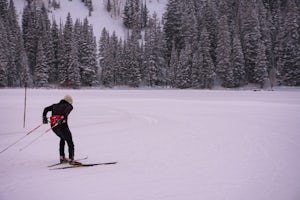 Cross-Country Ski at the Solitude Nordic Center 