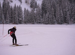Cross-Country Ski at the Solitude Nordic Center 