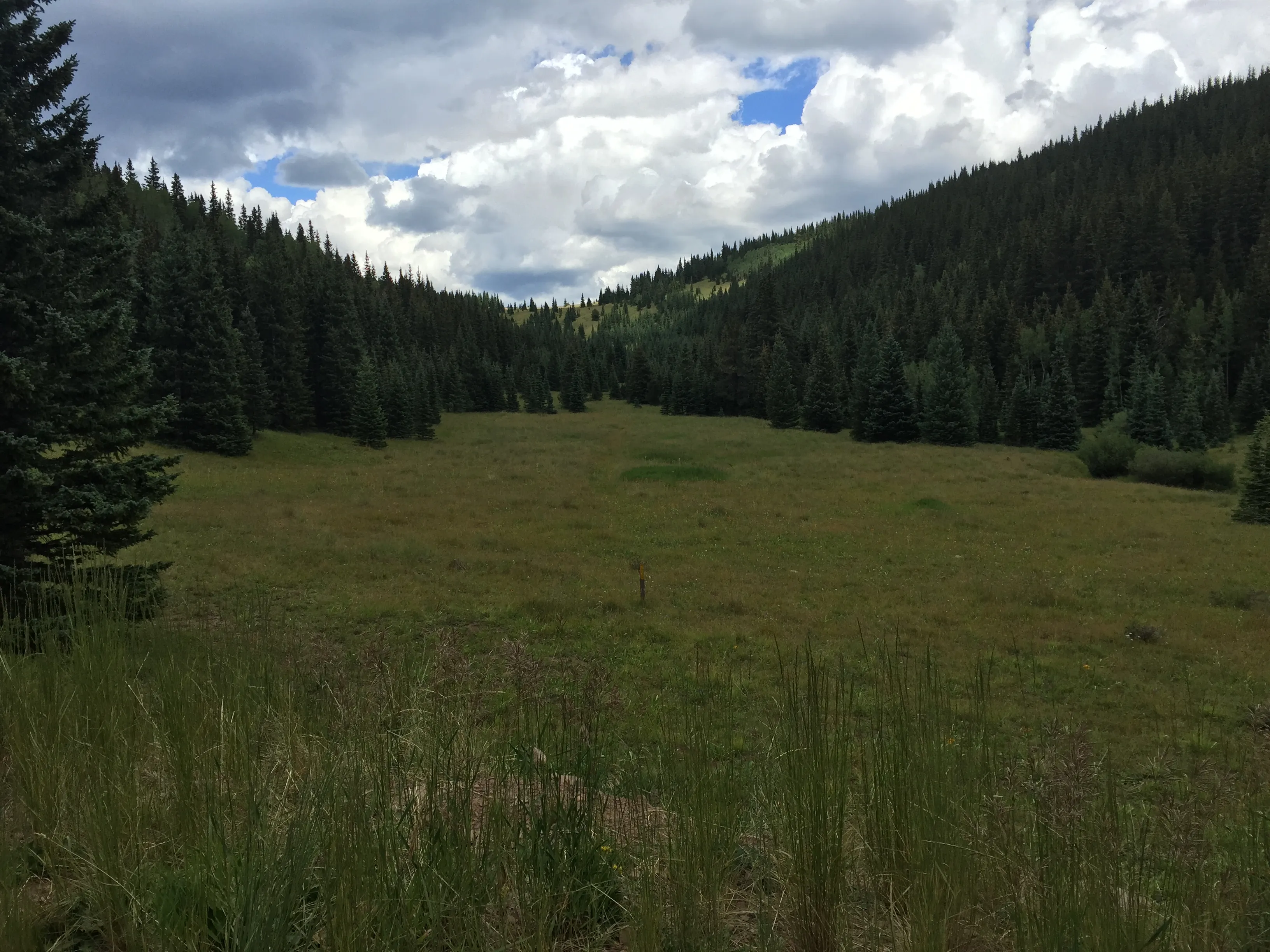Camp at Bear Lake