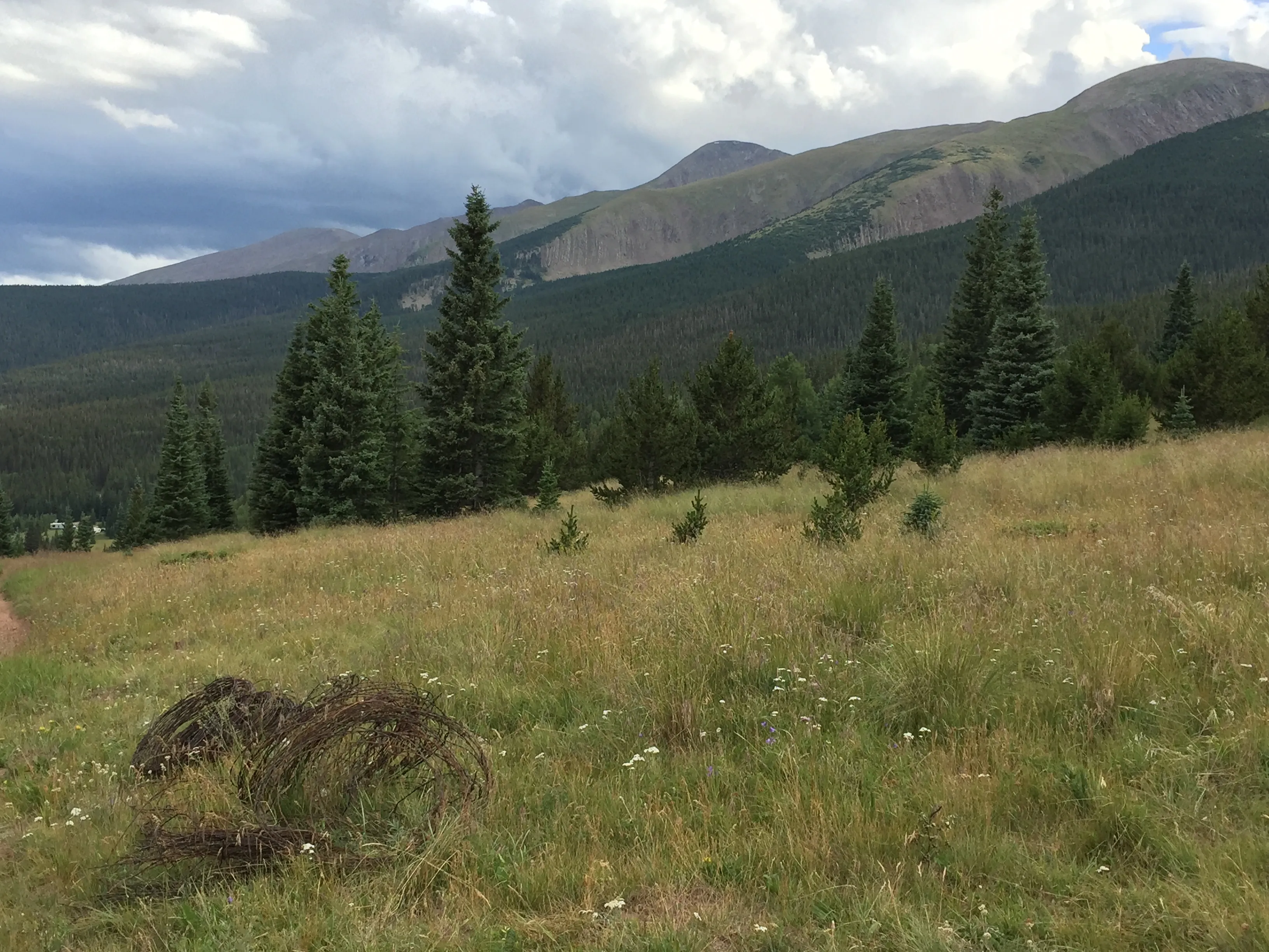 Camp at Bear Lake
