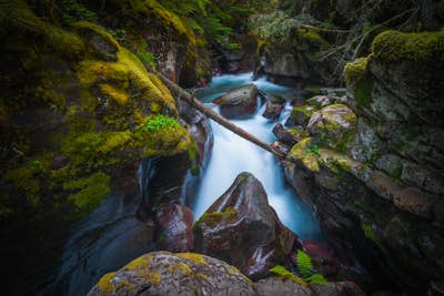 Explore Avalanche Creek