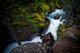 Explore Avalanche Creek