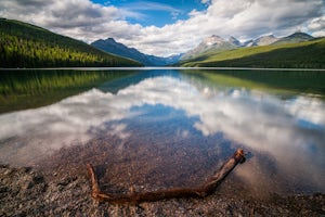 Camp at Bowman Lake