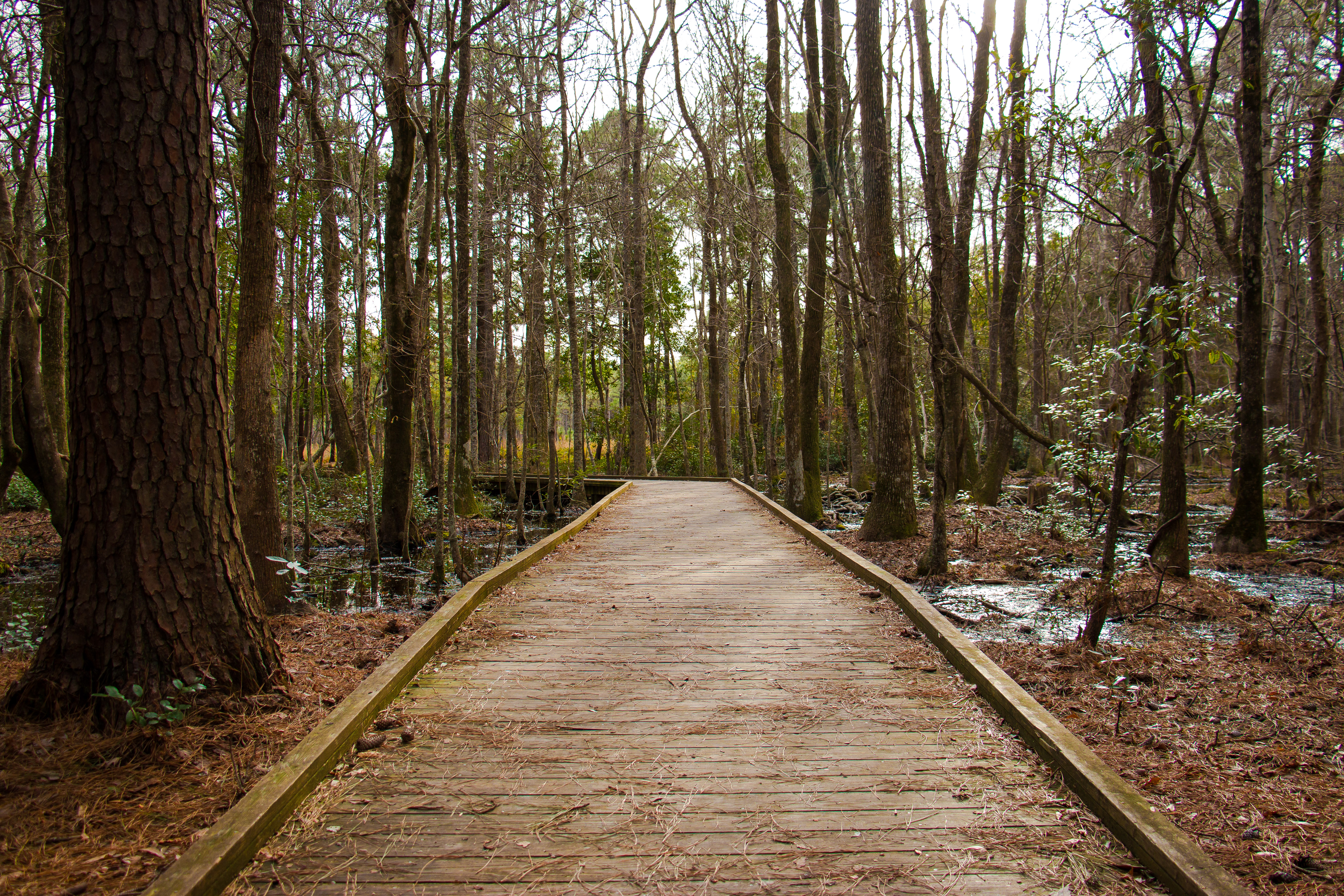 The best Trails and Outdoor Activities in and near Oak Island, North