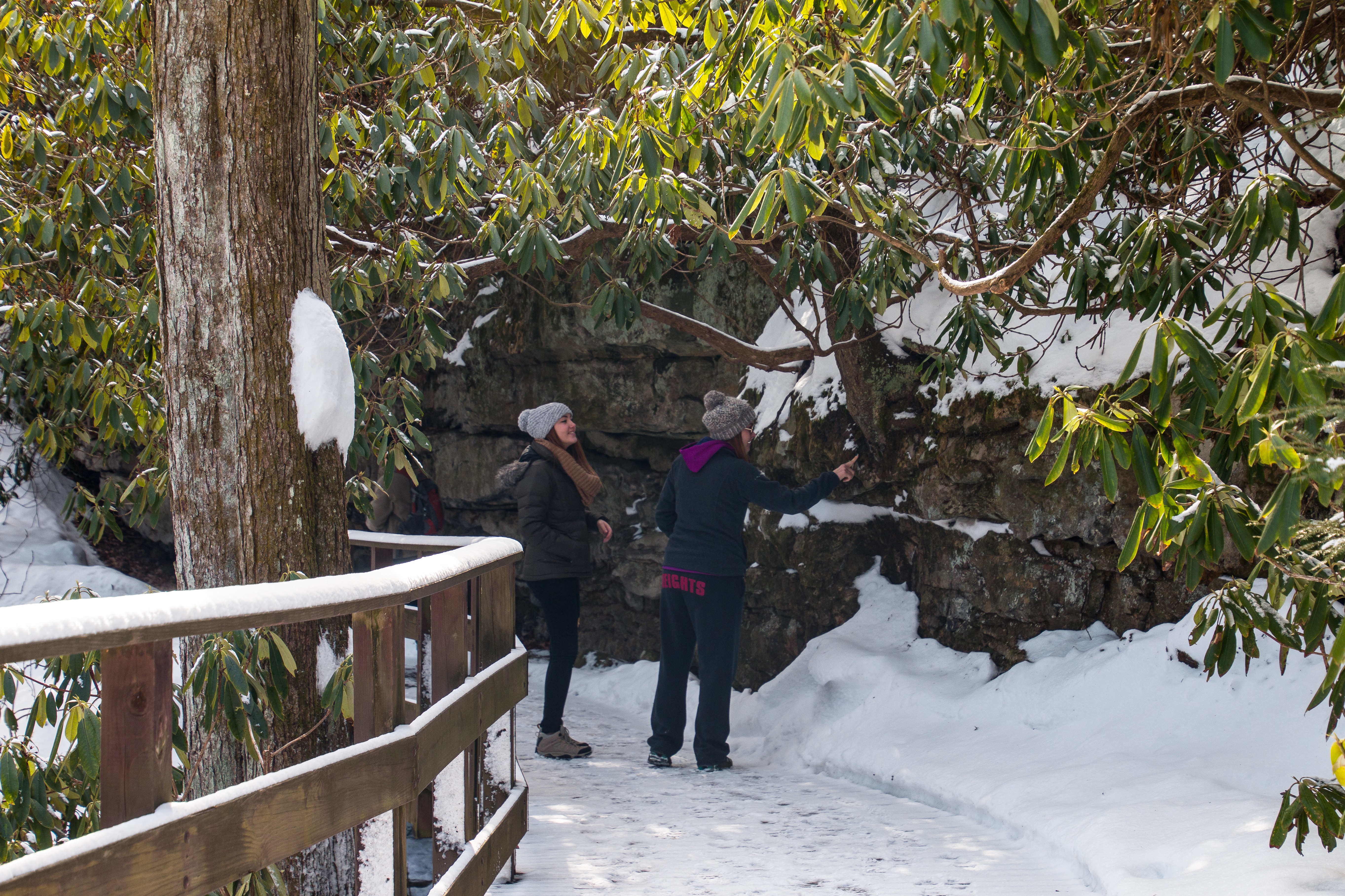 Explore Fallingwater