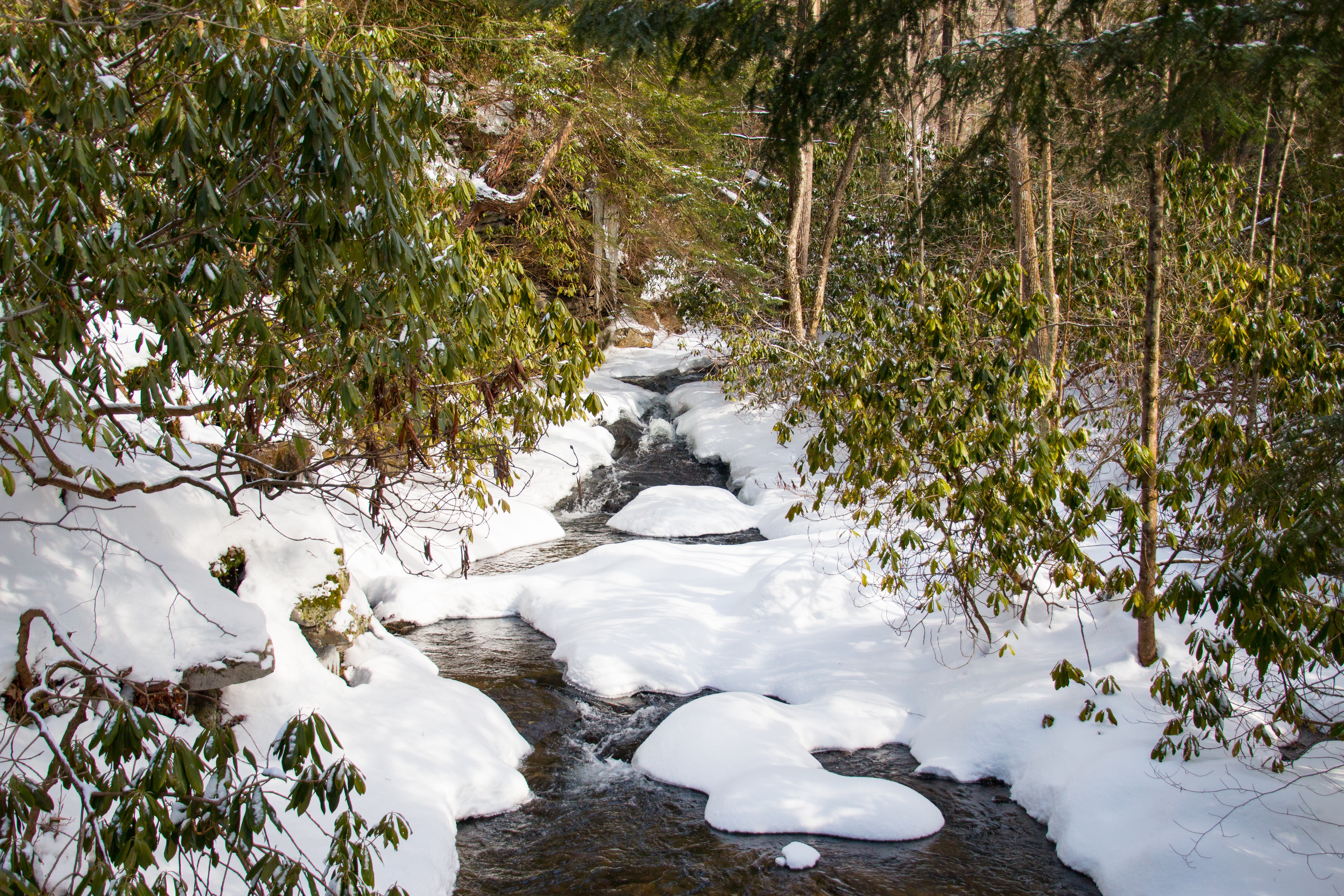 Explore Fallingwater