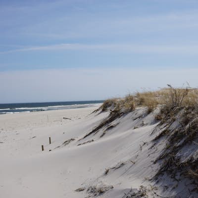 Hiking and Birding at Island Beach State Park