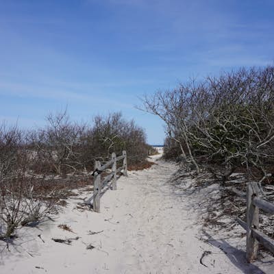 Hiking and Birding at Island Beach State Park