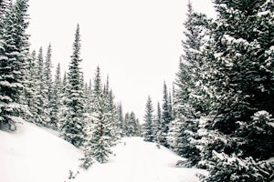 Snowshoe Sawmill Creek Trail