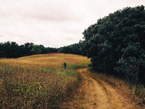 Hike the Dakota Valley Trail at Camden State Park