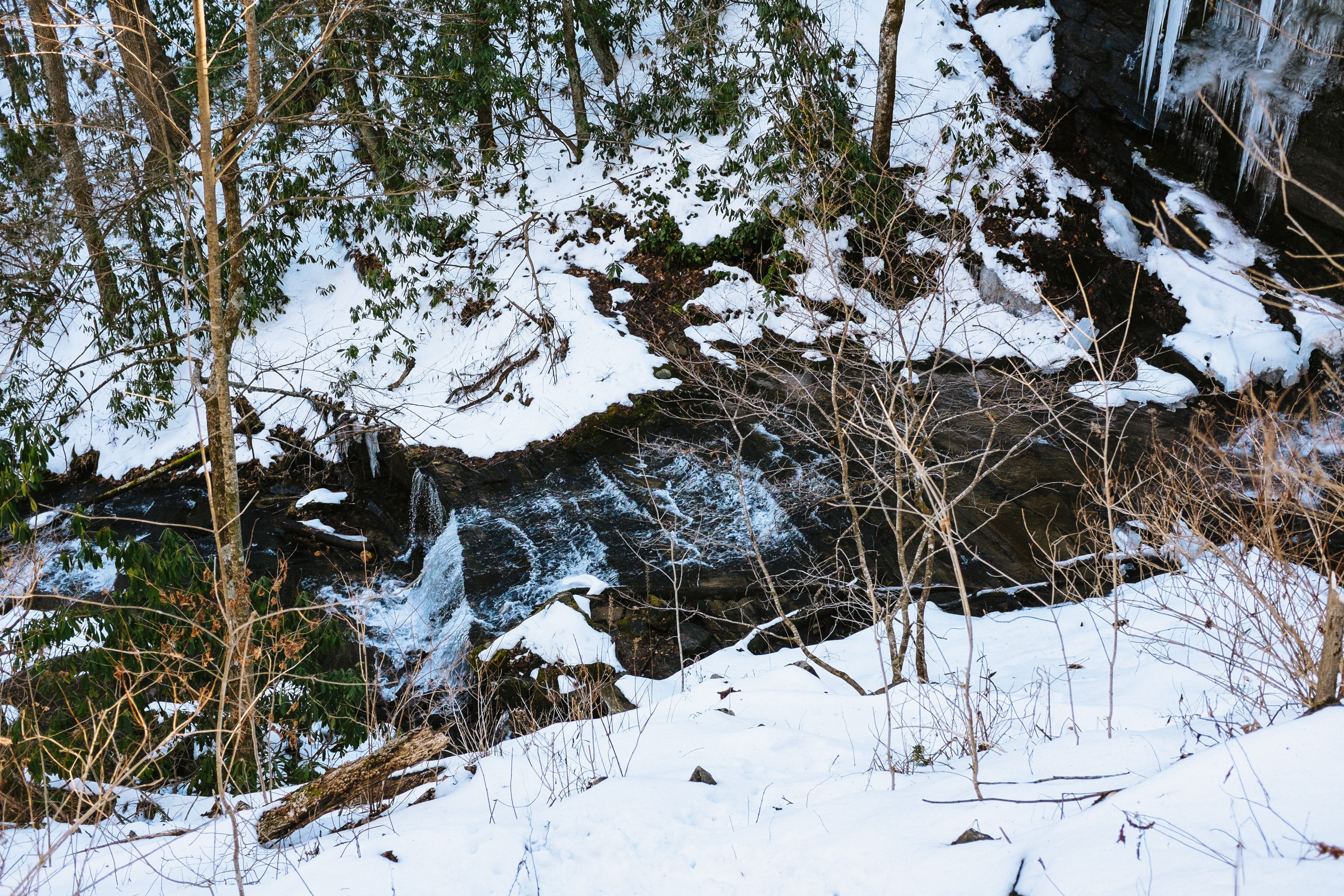 Grassy Creek Falls 