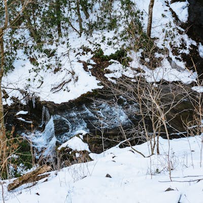 Grassy Creek Falls 