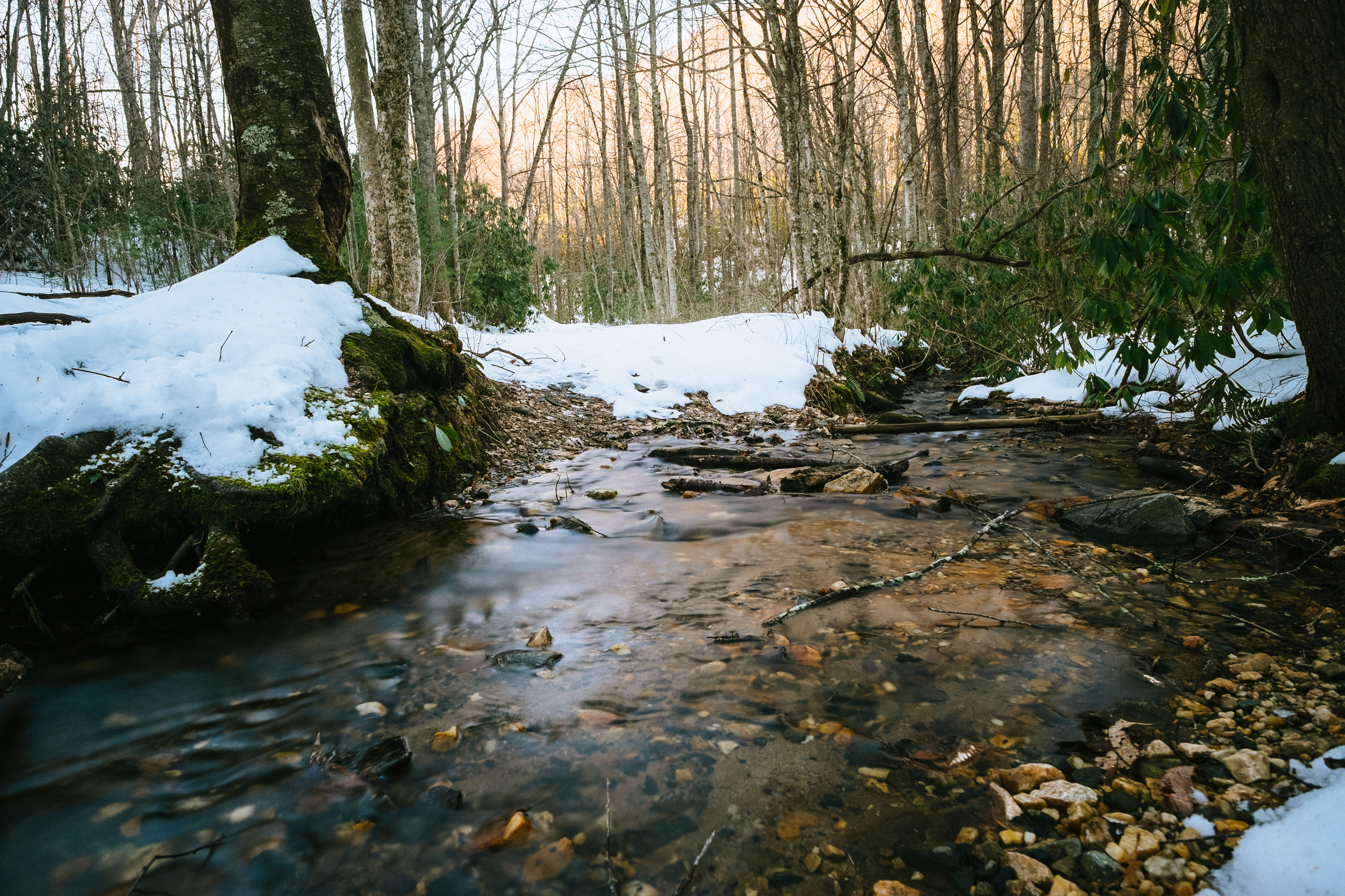 Grassy Creek Falls 
